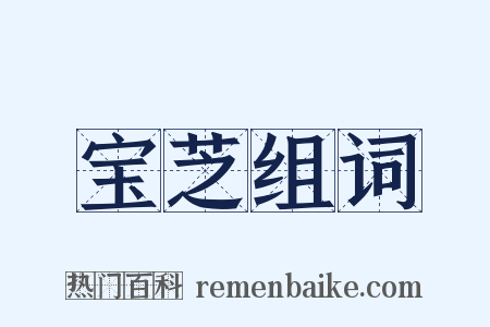 宝芝组词是什么意思的图片